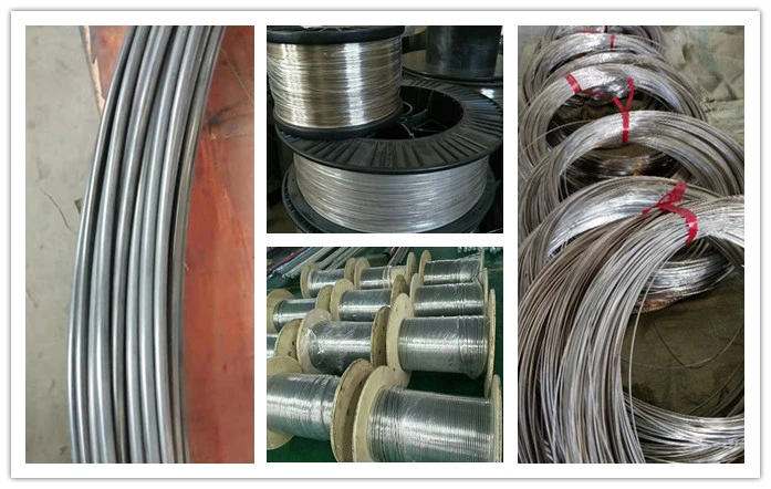 China Manufacter Titanium Straight Wire