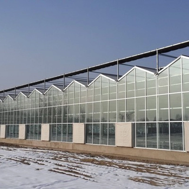 Hot Selling Different Line Tube Aluminum Greenhouse Product