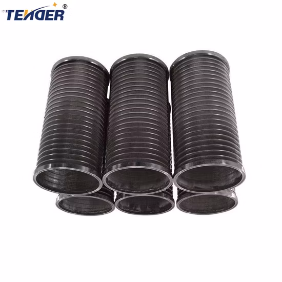 Titanium Alloy Perforated Wire Mesh Porous Filter for Industrial